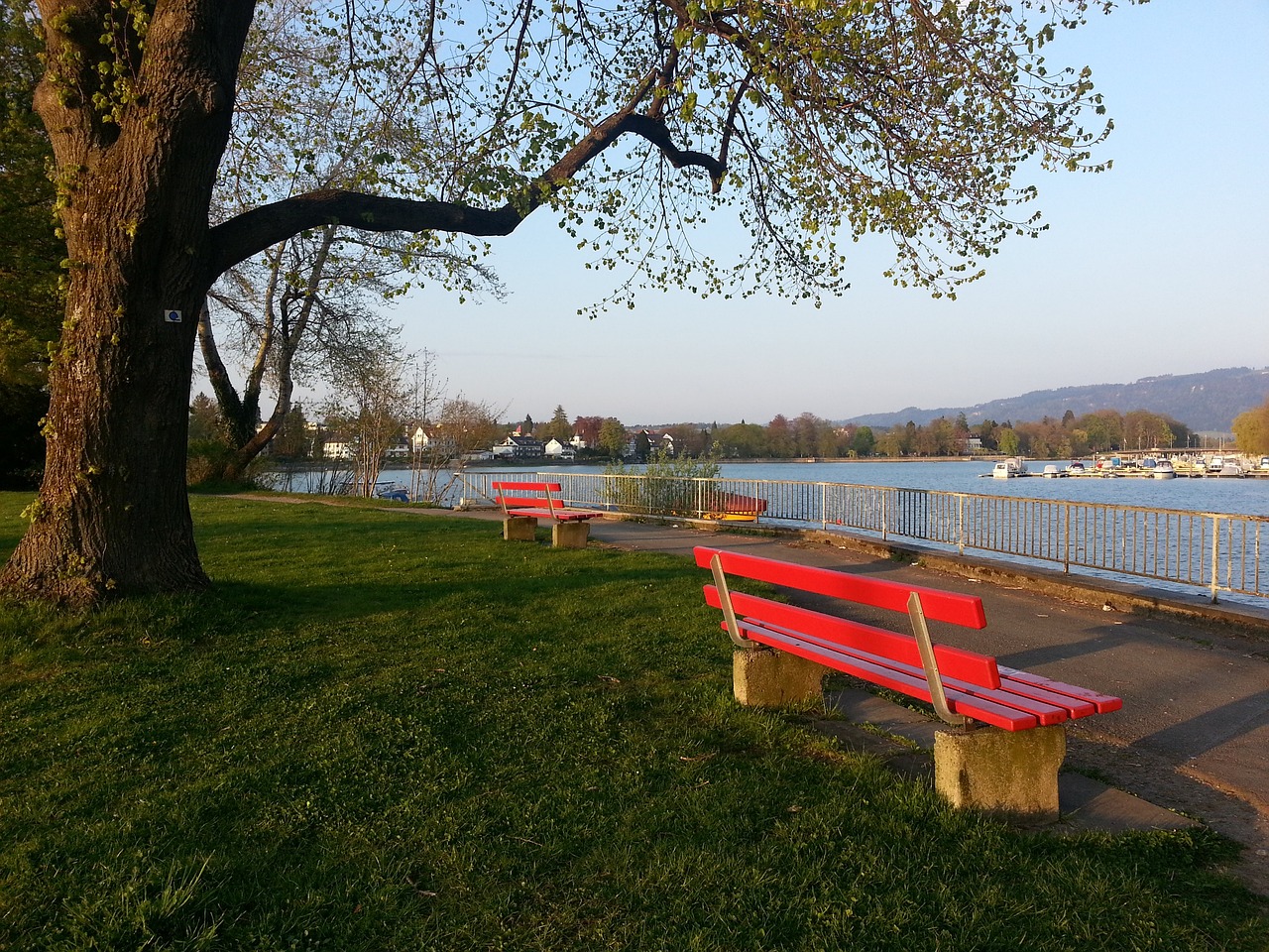 送入维拉的 送入维拉的