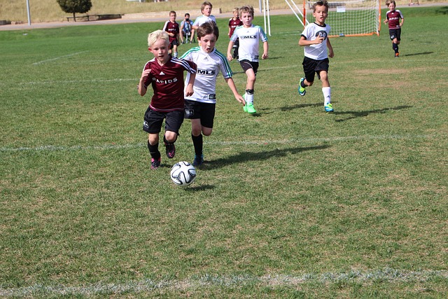 无比的享受 无比的享受