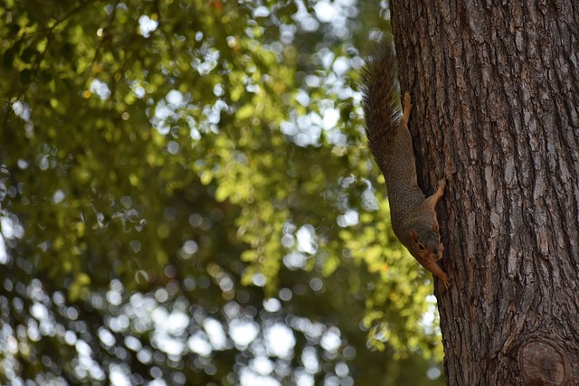 掘金其他球 掘金其他球