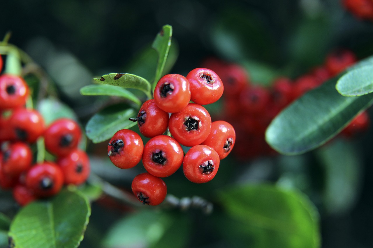 地区效仿这 地区效仿这