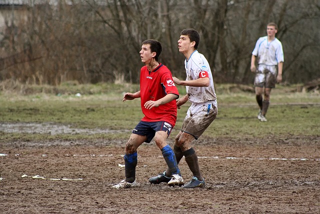 坛的强者 坛的强者