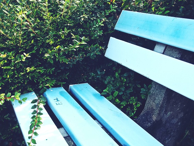 竞技层面 竞技层面