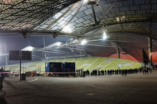 在国际舞台 在国际舞台